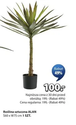 Roślina sztuczna promocja w Jysk