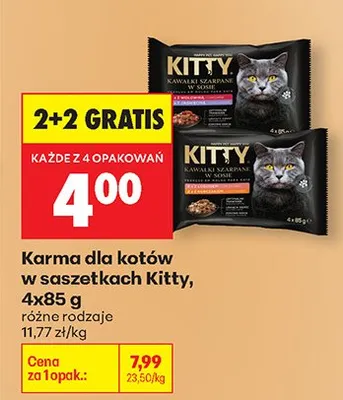 Karma dla kotów w saszetkach różne rodzaje promocja w Biedronka