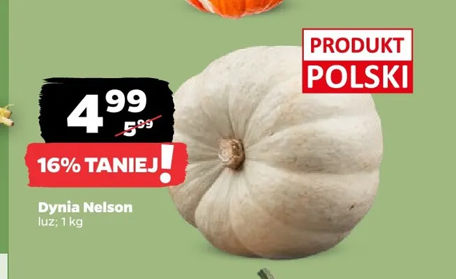 Dynia Nelson promocja w Netto