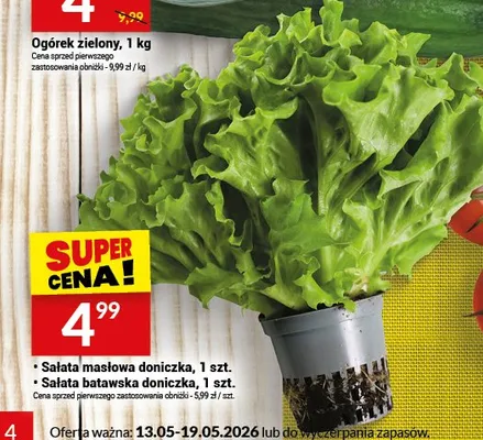 Sałata batawska doniczka promocja w Twój Market