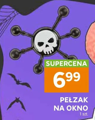 Pełzak na okno promocja w Stokrotka