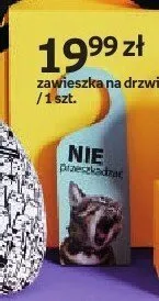 Zawieszka na drzwi Purrrfect School promocja w Empik