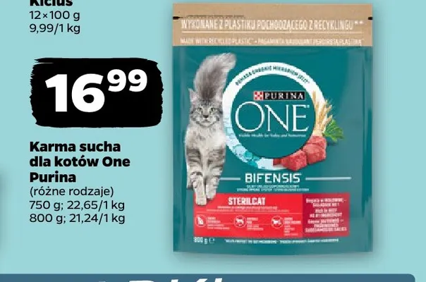Karma sucha dla kotów One Purina promocja w Netto