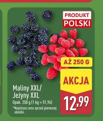 Jeżyny XXL promocja w Aldi