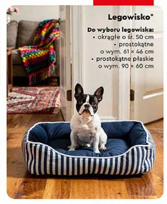 Legowisko prostokątne dla psa Activ'Pet 61x46 cm promocja w Biedronka