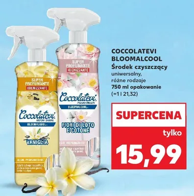 Środek czyszczący uniwersalny Bloomalcool promocja w Kaufland