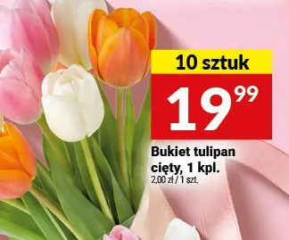 Bukiet tulipan cięty, 10 sztuk promocja w Twój Market