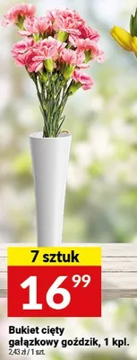 Bukiet cięty mieszowy goździk promocja w Twój Market