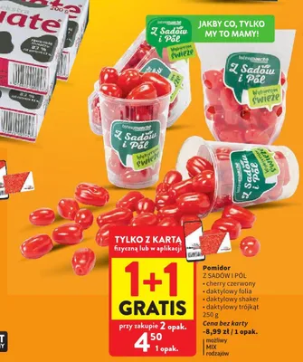 Pomidor daktylowy shaker Z Sadów i Pól promocja w Intermarche