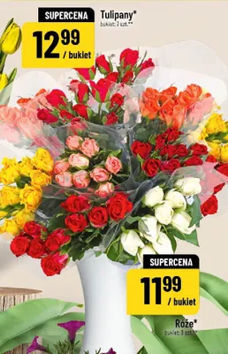 Róże promocja w POLOmarket