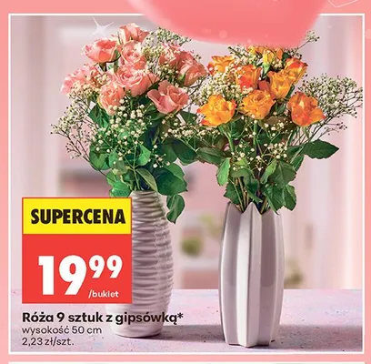 Róża 9 sztuk z gipsówką wysokość 50cm promocja w Biedronka