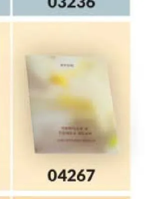 Zestaw wkładów do odświeżacza samochodowego Avon Wanilia i Fasola Tonka 2-pak promocja w AVON