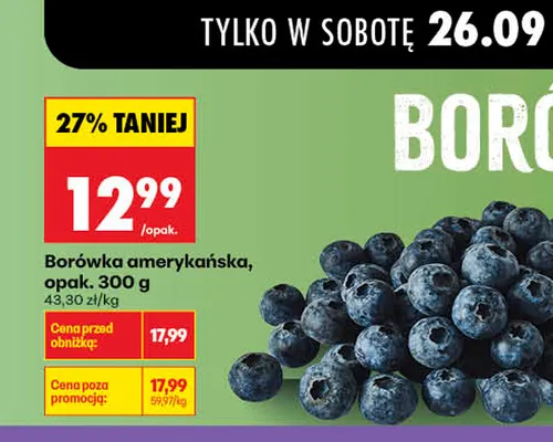 Borówka amerykańska promocja w Biedronka