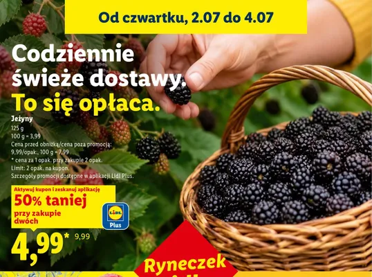 Jeżyny promocja w Lidl