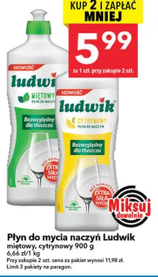 Płyn do mycia naczyń miętowy, cytrynowy Ludwik promocja w LEWIATAN