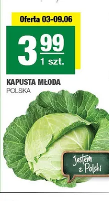 Kapusta młoda polska promocja w SPAR
