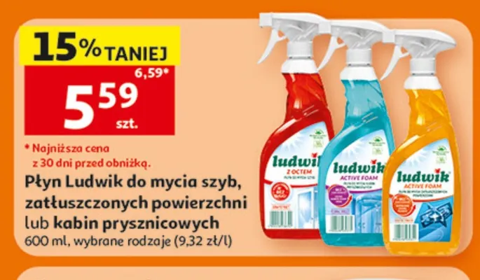 Płyn do mycia kabin prysznicowych Ludwik promocja w Auchan