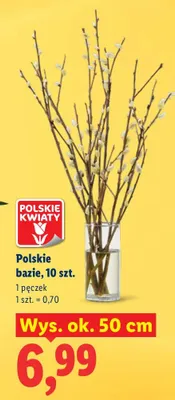 Polskie bazie promocja w Lidl
