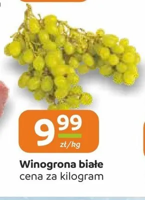 Winogrona promocja w Społem Częstochowa