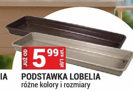 Podstawka Lobelia różne kolory i rozmiary promocja w Merkury Market