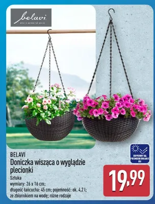 Doniczka wisząca o wyglądzie sprayu promocja w Aldi