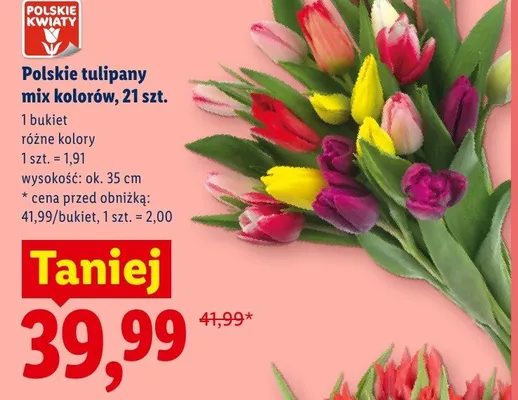 Polskie tulipany mix kolorów 21szt promocja w Lidl
