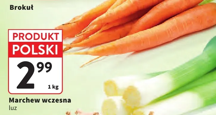 Marchew wczesna luz polska promocja w Intermarche