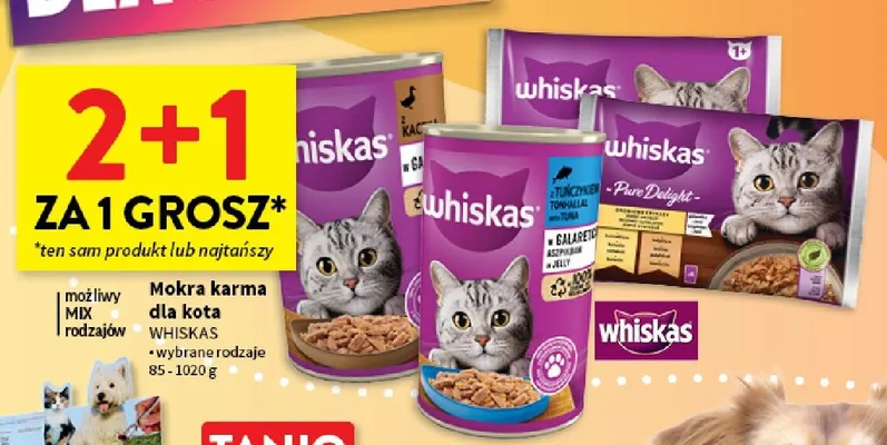 Mokra karma dla kota Whiskas promocja w Intermarche