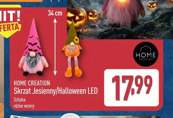 Skrzat jesienny LED Home Creation promocja w Aldi