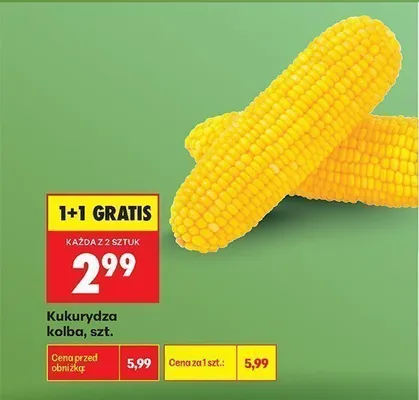 Kukurydza kolba promocja w Biedronka