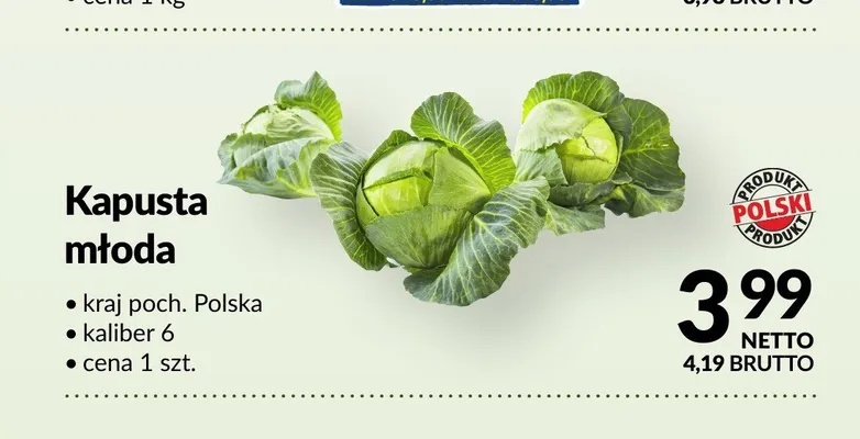 Kapusta młoda polska promocja w Makro
