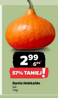 Dynia Hokkaido promocja w Netto