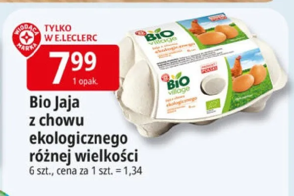 Jaja z chowu ekologicznego różnej wielkości promocja w Leclerc