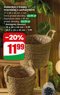 Osłonka z trawy morskiej z uchwytem promocja w Dino