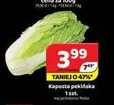 Kapusta pekińska promocja w Delfin