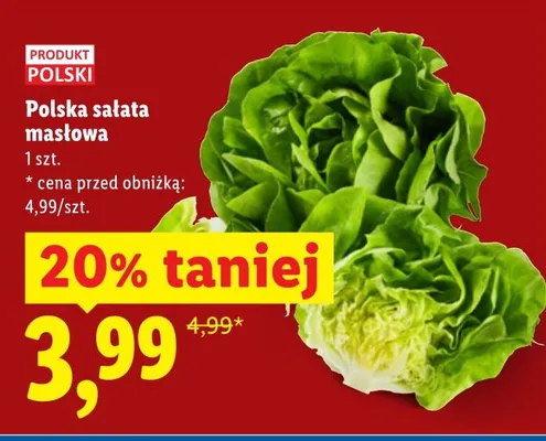 Sałata masłowa polska promocja w Lidl