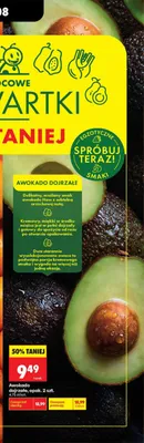 Awokado dojrzałe promocja w Biedronka