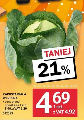 Kapusta biała wczesna promocja w Selgros