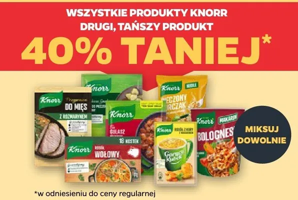 Produkty Knorr (wszystkie) promocja w Netto