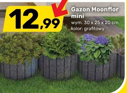 Gazon Moonflor mini promocja w Bricomarche