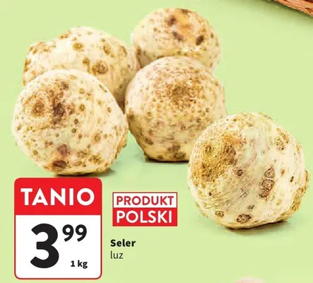 Seler luz promocja w Intermarche