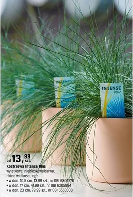 Katalog Ogród, strona 90 promocja w OBI