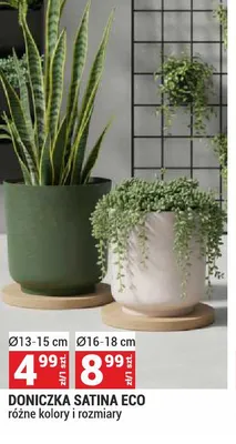 Doniczka Satina Eco Ø16-18cm promocja w Merkury Market