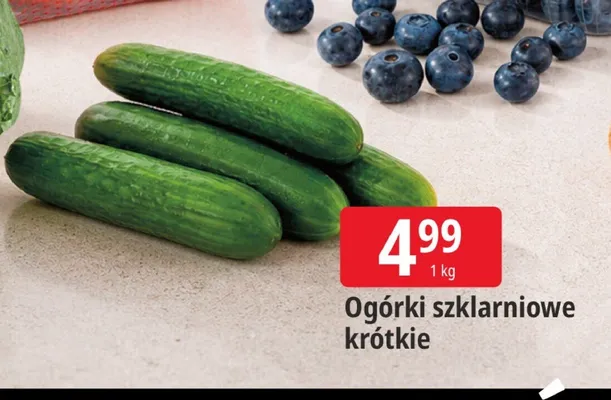 Ogórki szklarniowe krótkie promocja w Leclerc