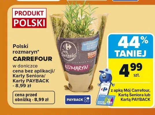 Rozmaryn w doniczce polski Carrefour promocja w Carrefour Market