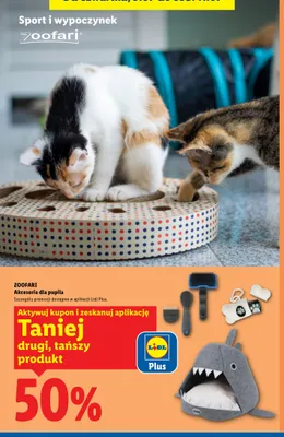 Akcesoria dla pupila Zoofari promocja w Lidl