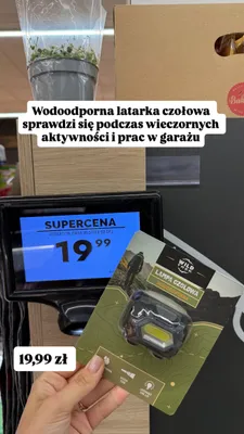Lampa czołowa wodoodporna Wild Trek promocja w Biedronka
