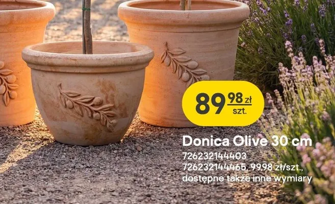 Donica Olive promocja w Castorama