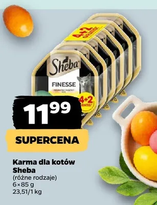 Karma dla kotów Sheba promocja w Netto