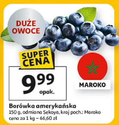 Borówka amerykańska promocja w Auchan